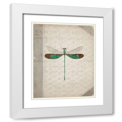 Dragonfly Book 2 White Modern Wood Framed Art Print with Double Matting by Allen, Kimberly