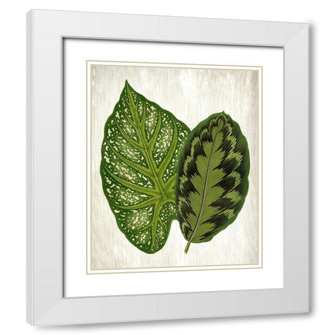 Botanical Greens 1 White Modern Wood Framed Art Print with Double Matting by Allen, Kimberly