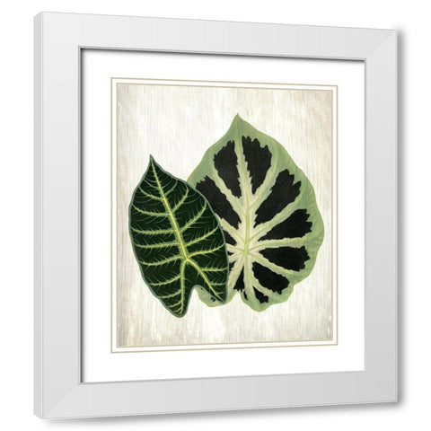 Botanical Greens 2 White Modern Wood Framed Art Print with Double Matting by Allen, Kimberly