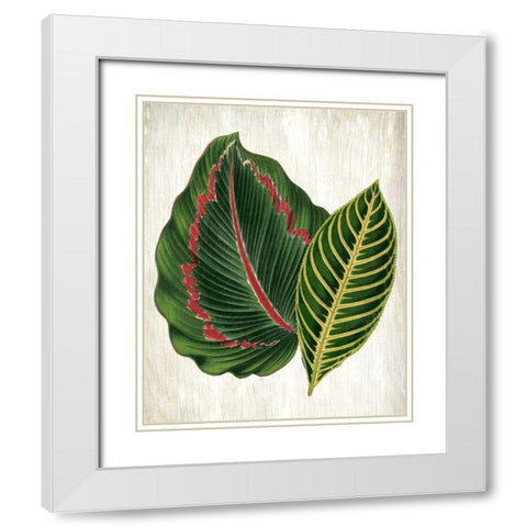 Botanical Greens 3 White Modern Wood Framed Art Print with Double Matting by Allen, Kimberly
