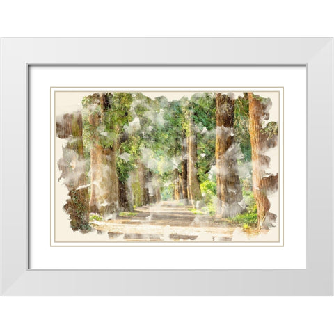 Tree Avenue White Modern Wood Framed Art Print with Double Matting by Allen, Kimberly