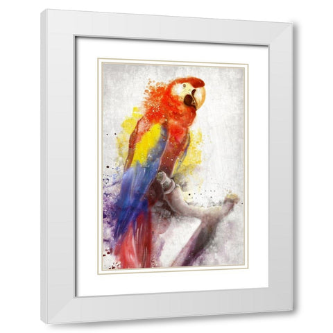 MaCaw White Modern Wood Framed Art Print with Double Matting by Allen, Kimberly