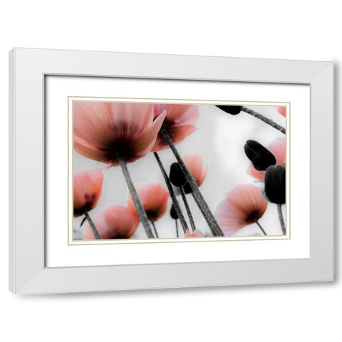 Pink Poppies White Modern Wood Framed Art Print with Double Matting by Allen, Kimberly