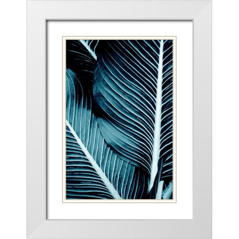Tropical Blue 1 White Modern Wood Framed Art Print with Double Matting by Allen, Kimberly