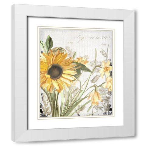 Wildflower Guide 1 White Modern Wood Framed Art Print with Double Matting by Allen, Kimberly