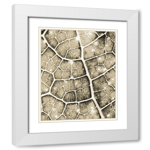 Eco Gold 1 White Modern Wood Framed Art Print with Double Matting by Allen, Kimberly