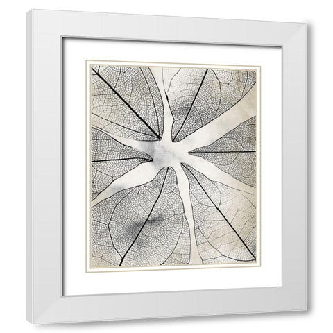 Transparent 1 White Modern Wood Framed Art Print with Double Matting by Allen, Kimberly