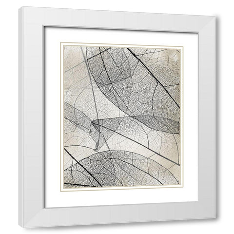 Transparent 2 White Modern Wood Framed Art Print with Double Matting by Allen, Kimberly