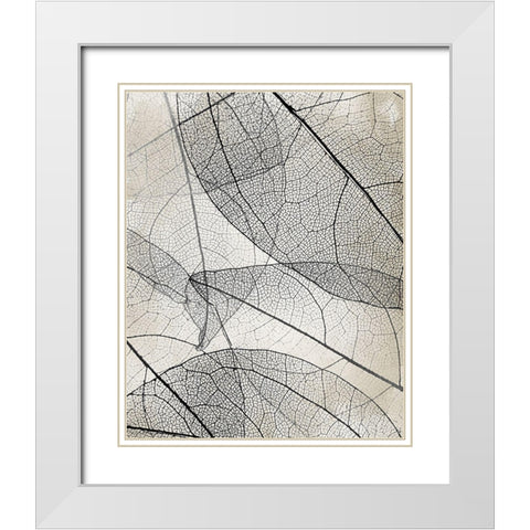 Transparent 2 White Modern Wood Framed Art Print with Double Matting by Allen, Kimberly