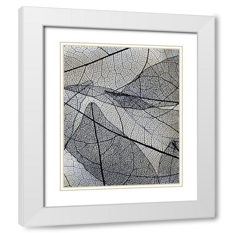 Transparent 3 v2 White Modern Wood Framed Art Print with Double Matting by Allen, Kimberly