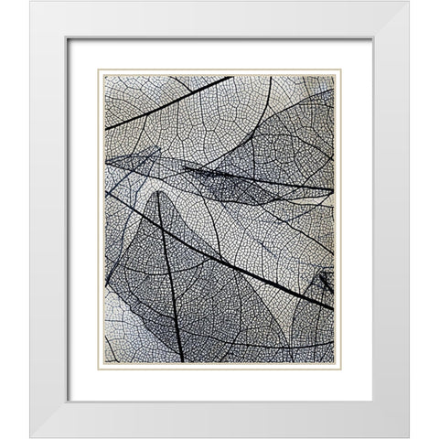Transparent 3 v2 White Modern Wood Framed Art Print with Double Matting by Allen, Kimberly