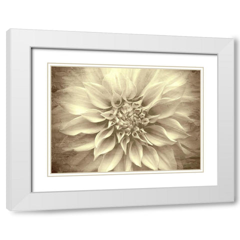 Amethyst White Modern Wood Framed Art Print with Double Matting by Allen, Kimberly