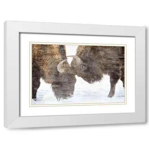 Bison Two White Modern Wood Framed Art Print with Double Matting by Allen, Kimberly