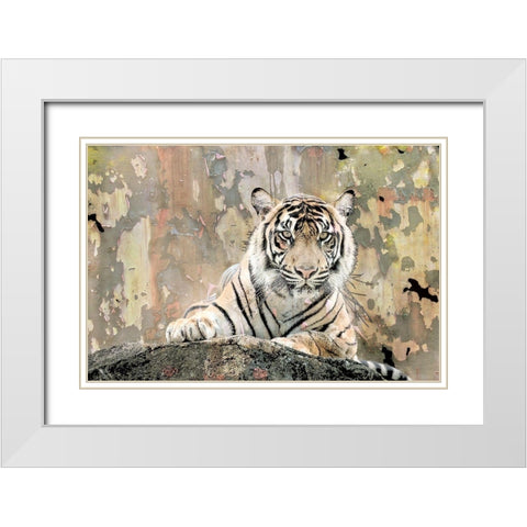 Tiger Love White Modern Wood Framed Art Print with Double Matting by Allen, Kimberly