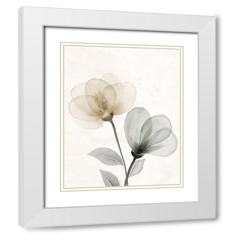 Open Bloom 1 White Modern Wood Framed Art Print with Double Matting by Allen, Kimberly