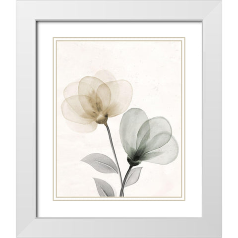Open Bloom 1 White Modern Wood Framed Art Print with Double Matting by Allen, Kimberly