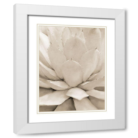 Agave Neutral 1 White Modern Wood Framed Art Print with Double Matting by Allen, Kimberly
