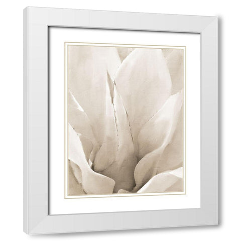 Agave Neutral 2 White Modern Wood Framed Art Print with Double Matting by Allen, Kimberly
