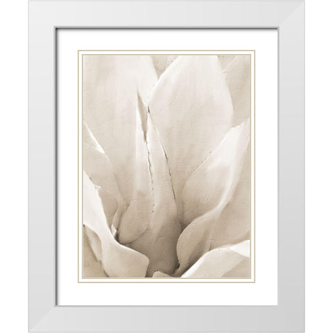 Agave Neutral 2 White Modern Wood Framed Art Print with Double Matting by Allen, Kimberly