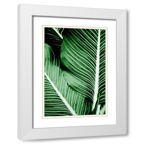 Tropical 1 White Modern Wood Framed Art Print with Double Matting by Allen, Kimberly