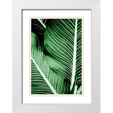 Tropical 1 White Modern Wood Framed Art Print with Double Matting by Allen, Kimberly