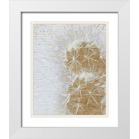 Desert Cacti 2 White Modern Wood Framed Art Print with Double Matting by Allen, Kimberly
