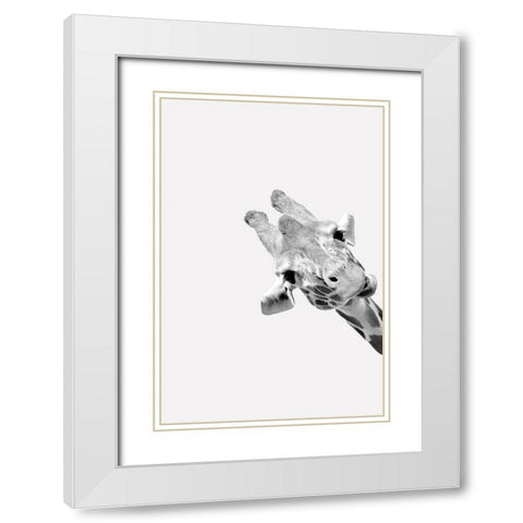 Quirky Giraffes 3 White Modern Wood Framed Art Print with Double Matting by Allen, Kimberly