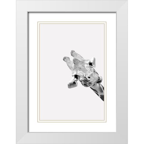 Quirky Giraffes 3 White Modern Wood Framed Art Print with Double Matting by Allen, Kimberly