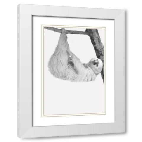 Quirky Sloths 1 White Modern Wood Framed Art Print with Double Matting by Allen, Kimberly