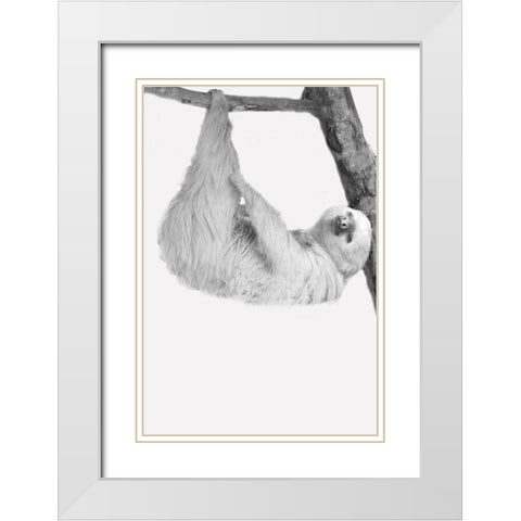 Quirky Sloths 1 White Modern Wood Framed Art Print with Double Matting by Allen, Kimberly