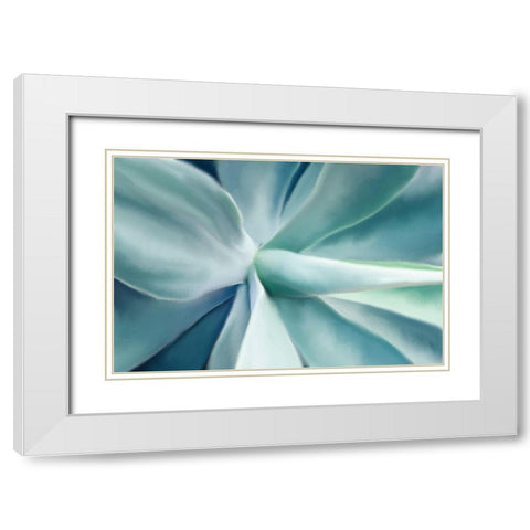 Agave White Modern Wood Framed Art Print with Double Matting by Allen, Kimberly