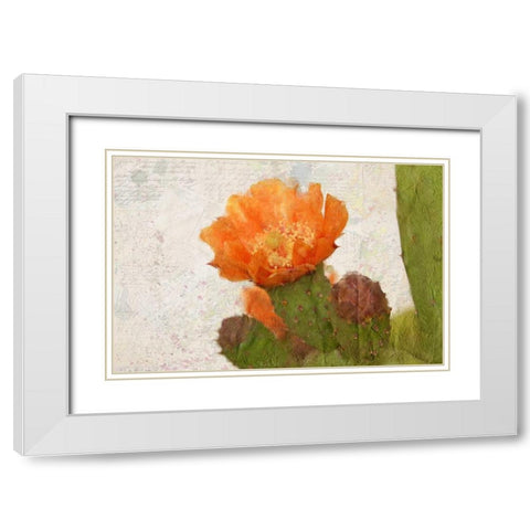 Cacti Flower White Modern Wood Framed Art Print with Double Matting by Allen, Kimberly