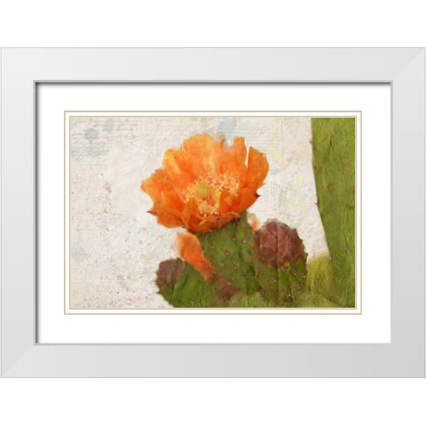 Cacti Flower White Modern Wood Framed Art Print with Double Matting by Allen, Kimberly