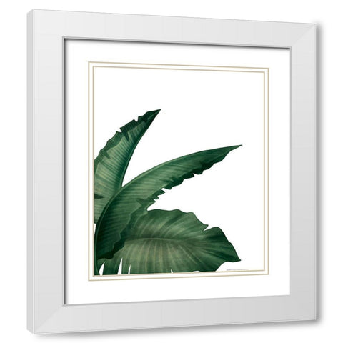 Palms 1 White Modern Wood Framed Art Print with Double Matting by Allen, Kimberly