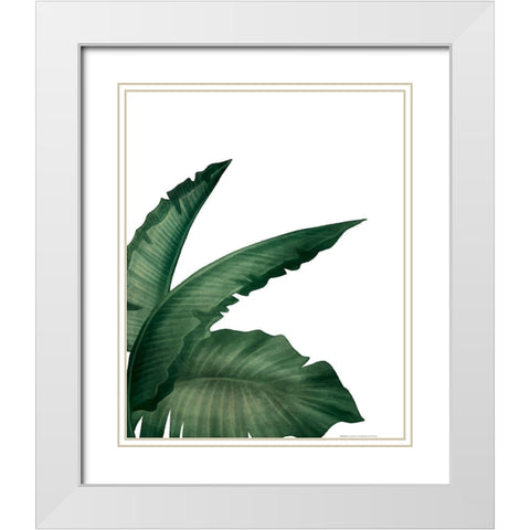 Palms 1 White Modern Wood Framed Art Print with Double Matting by Allen, Kimberly