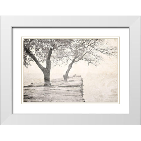 Tree Pier White Modern Wood Framed Art Print with Double Matting by Allen, Kimberly