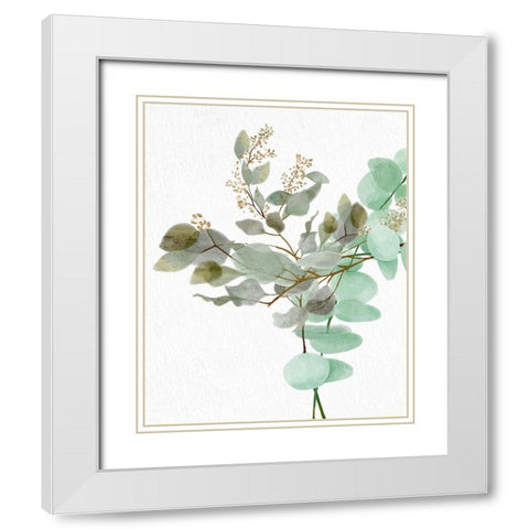 Eucalyptus 1 White Modern Wood Framed Art Print with Double Matting by Allen, Kimberly