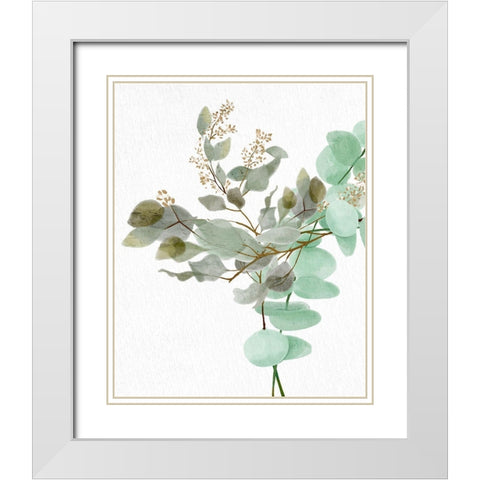 Eucalyptus 1 White Modern Wood Framed Art Print with Double Matting by Allen, Kimberly