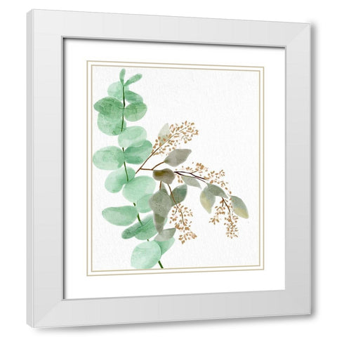 Eucalyptus 2 White Modern Wood Framed Art Print with Double Matting by Allen, Kimberly