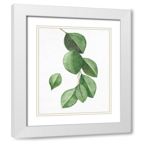 Greens 3 White Modern Wood Framed Art Print with Double Matting by Allen, Kimberly