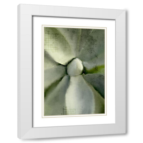Agave Center White Modern Wood Framed Art Print with Double Matting by Allen, Kimberly