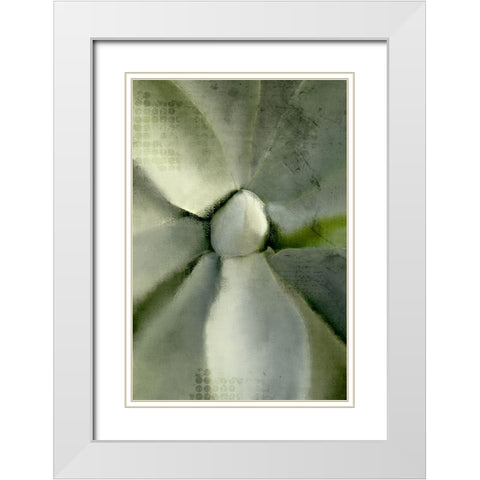 Agave Center White Modern Wood Framed Art Print with Double Matting by Allen, Kimberly