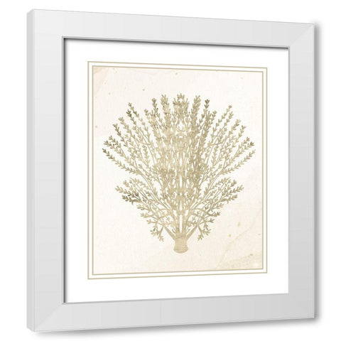 Coral Hue 2 White Modern Wood Framed Art Print with Double Matting by Allen, Kimberly