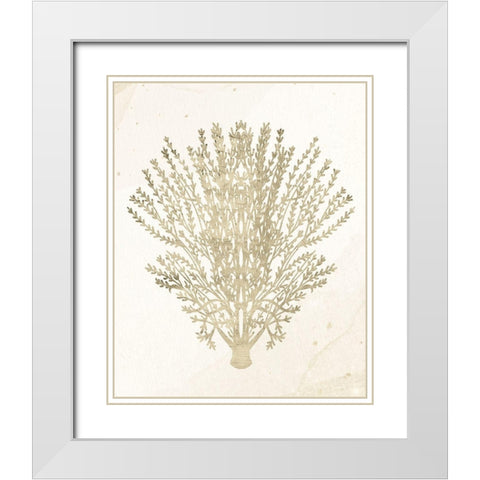 Coral Hue 2 White Modern Wood Framed Art Print with Double Matting by Allen, Kimberly