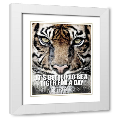 A Tiger for a Day White Modern Wood Framed Art Print with Double Matting by Allen, Kimberly