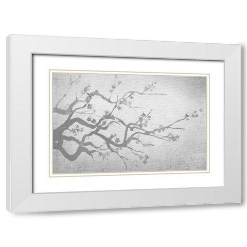 Cherry Blossom Branch in Silver White Modern Wood Framed Art Print with Double Matting by Allen, Kimberly