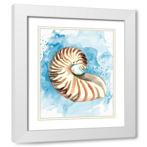 Coast Shell 1 White Modern Wood Framed Art Print with Double Matting by Allen, Kimberly