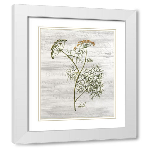 Fresh Cut Herbs 1 White Modern Wood Framed Art Print with Double Matting by Allen, Kimberly