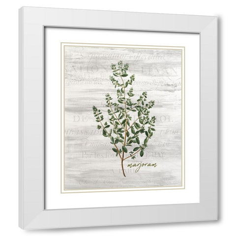 Fresh Cut Herbs 4 White Modern Wood Framed Art Print with Double Matting by Allen, Kimberly