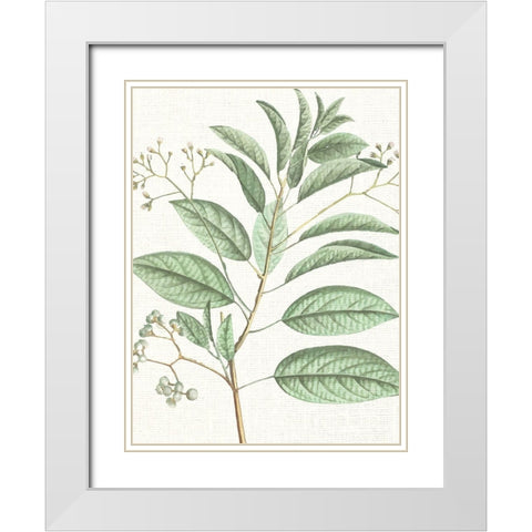 Branch 1 White Modern Wood Framed Art Print with Double Matting by Allen, Kimberly